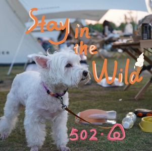 502✖️Airbnb：去露营，去村居！