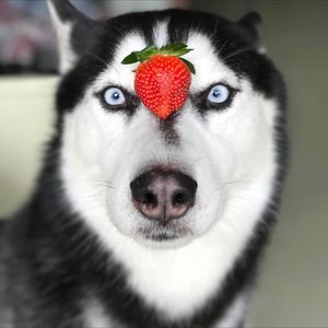 奇葩说杨天真给我的职场思考，如何做一个高效的职场人