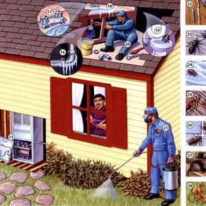 【11.16】超实用家务场景英文大全