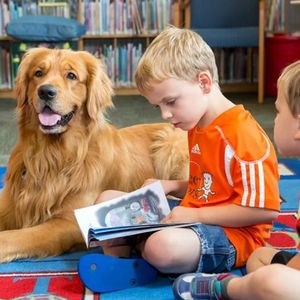 【0324】Home 是“家”，free 是“免费”，但 home free 不是“免费的家”啊！