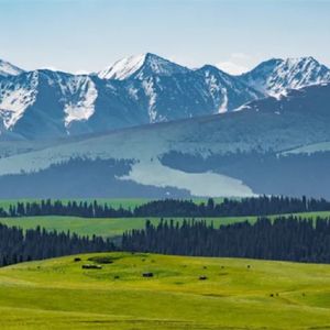 【0311】Russia 没有“俄”的音，为何被译为“俄罗斯”？