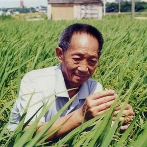 【0701】袁隆平儿子接棒禾下乘凉梦!接棒用英语怎么说?