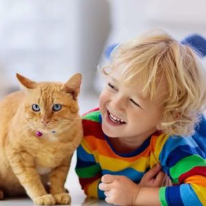 【0121】Let's 和 Let us 居然不是一个意思？用错就尴尬了