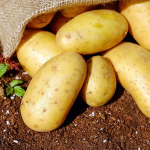 “I potato you”不是“我土豆你”，真正意思竟然是？