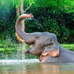 【10.28】记住：leave room不是“离开房间”！理解错超尴尬