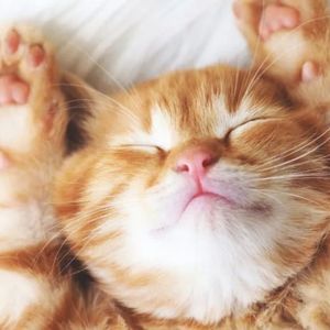 【0114】“你和我”到底是 you and I 还是 you and me？这次绝对分清了！