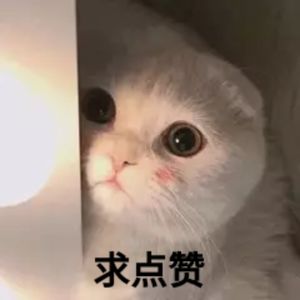【0318】"I love cat"不是"我喜欢猫"!歪果仁会吓坏的!