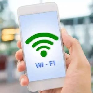 【0222】“蹭网”用英语怎么说？千万别说成 steal network！