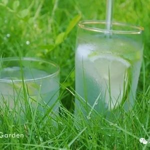 【0608】老外说you're special 是夸你特别？那你太天真了