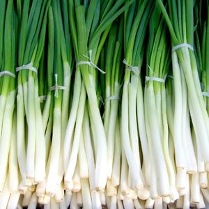 【0423】green onion 不是绿色洋葱,而是中国人常吃的这个