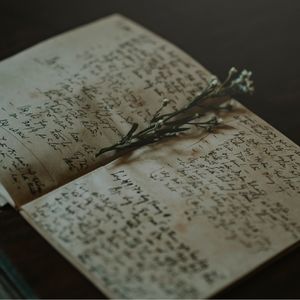 【闲扯慢聊】文字新栏目和生活中的写与吃