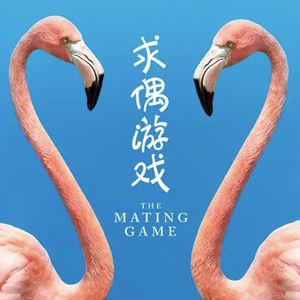 《动森》&《求偶游戏》：因为它们我们才不孤独|051