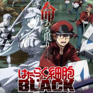 《工作细胞BLACK》：社畜离死有多近 |006