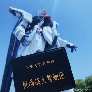 高达SEED：高达屹立于魔都之上 |019