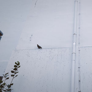 S1E20: 沟通 | 从抱怨到非暴力的距离