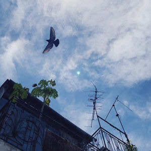 S1E19: 「十一点这一刻 x 只想说说话」I am what I am｜忠于自己路漫漫 别迷失太久了！