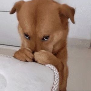 男性被人拍屁股正常吗？聊聊我们经历的性骚扰