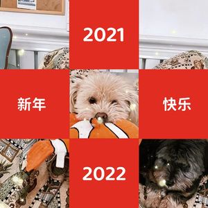 你好2022，我们又立了新的flag