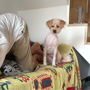 养动物劝退指南