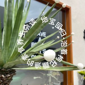 地宝回归！泡着枸杞蹦迪的素食养生杂谈