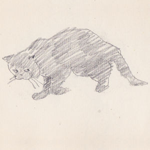 Vol.04 胡 同 儿（上） 战争迷雾