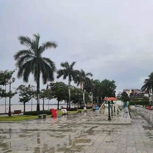 第八话 疫情前，在东南亚做个沙发客