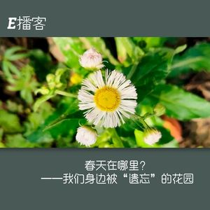 E播客NO.27｜春天在哪里？——我们身边被“遗忘”的花园