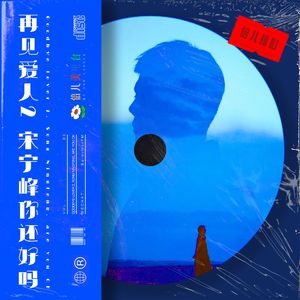 倍儿操心：再见爱人2，宋宁峰你还好吗？- Vol.88