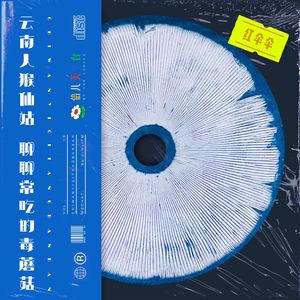 云南人猴仙姑？聊聊常吃的毒蘑菇 - Vol.6