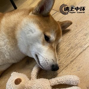 vol.17 关于无论如何努力都没用的小确丧