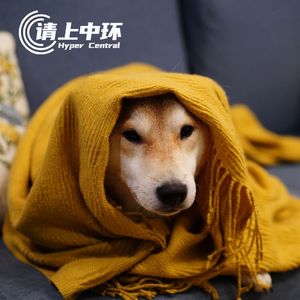 vol.75 别提工作，我要开始焦虑了