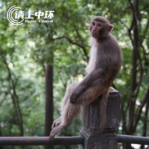 vol.106 错峰出游，永远的神