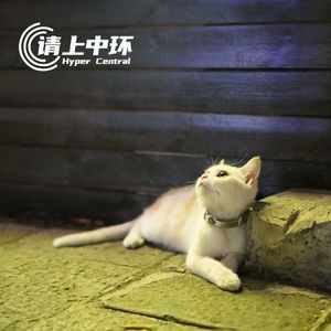 vol.101 情商研讨课：我这样说话算混蛋吗？