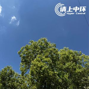 vol.136 人，可以不上班吗