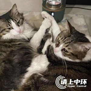 vol.33 小祖宗们的爹妈