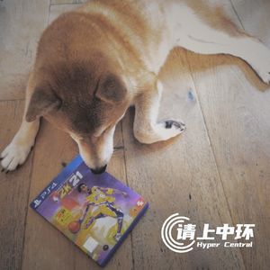 vol.29 再买体育游戏我是狗 汪汪