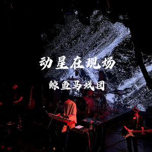 [动星vol.09] 探LIVE | 在鲸鱼马戏团北京站，听见风、海浪和内心的平静