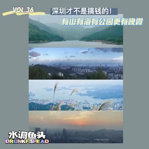 VOL.36 深圳才不是搞钱的！有山有海有公园更有晚霞