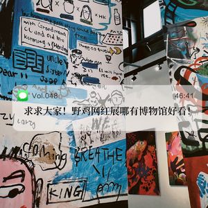 048.求求大家！野鸡网红展哪有博物馆好看！