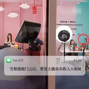 027.雪梨逃税门后，带货主播真实收入大揭秘