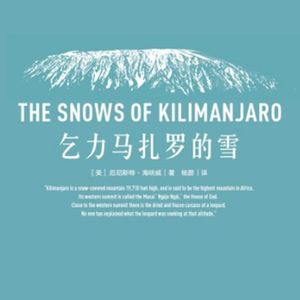 读《乞力马扎罗的雪》,我相信海明威是笑着轰碎自己的脑袋 20分钟年华04