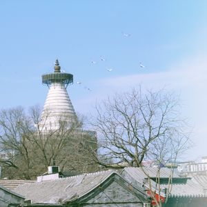 仰望《白塔之光》长大的孩子,眼神冷酷而温柔(附白塔寺遛弯指南)航时街01