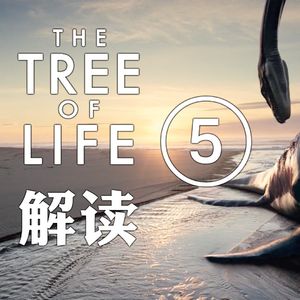 解析史上最神奇电影桥段 大美无言 肝肠寸断｜《生命之树》深度赏析五