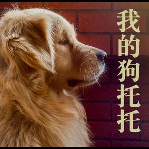 25 我的狗Toto死了 有个决定我不后悔 但也有个问题想不明白