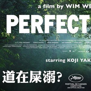 《完美的日子》：听摇滚的命 洗厕所的心 淡泊人生的疑点