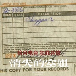 VOL.45-《犯罪共情》-消失的空姐