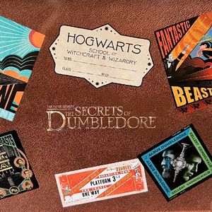 突发逃避事件5号：《神奇动物3》魔法世界观影指南