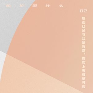 柏拉图什么02|景观社会与欲望消费:探店上海茑屋书店