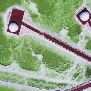 中国的盐，够吃多少年？