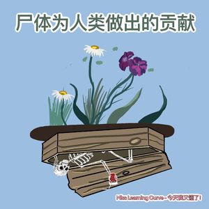 EP33.【看见美 - 万圣节特辑】被捐献的遗体都去了哪里？